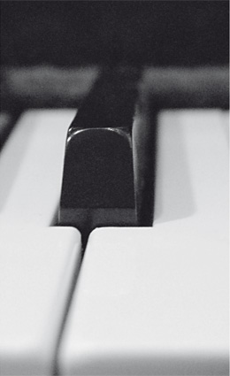 Leistungen im Klavierbau
